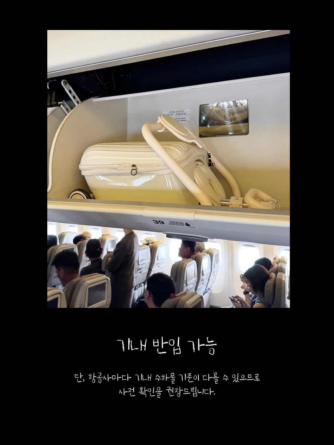 KEEP SWIMMING 타월 커스텀 제작 10