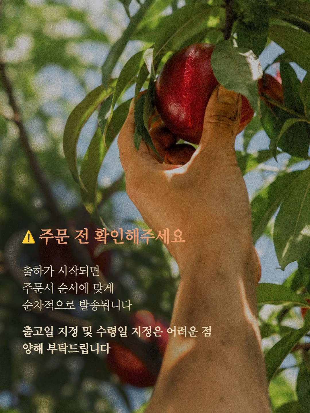 더험블 쿨맥스 냉감 패드와 오가닉 여름이불 2