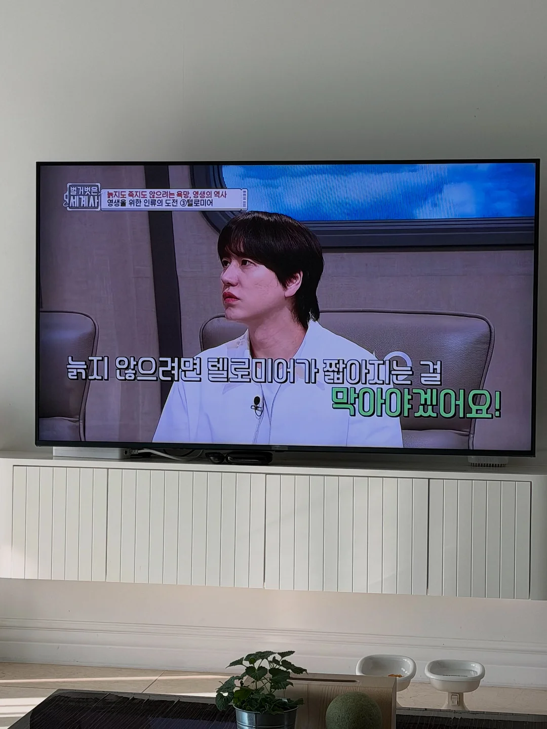 카프리 11