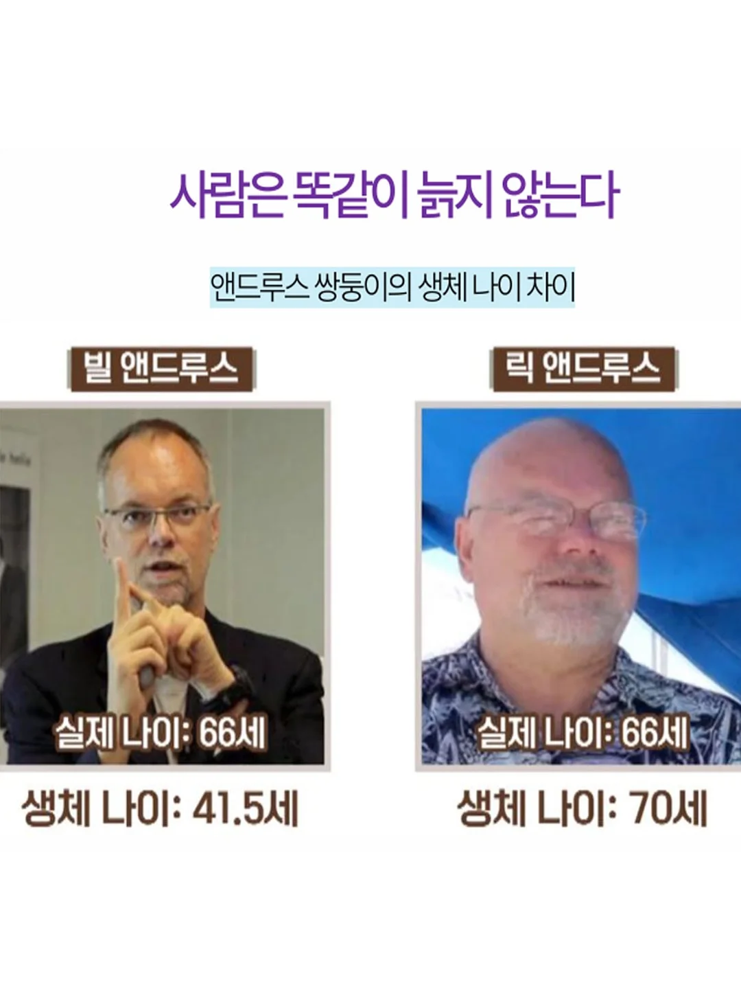 카프리 13