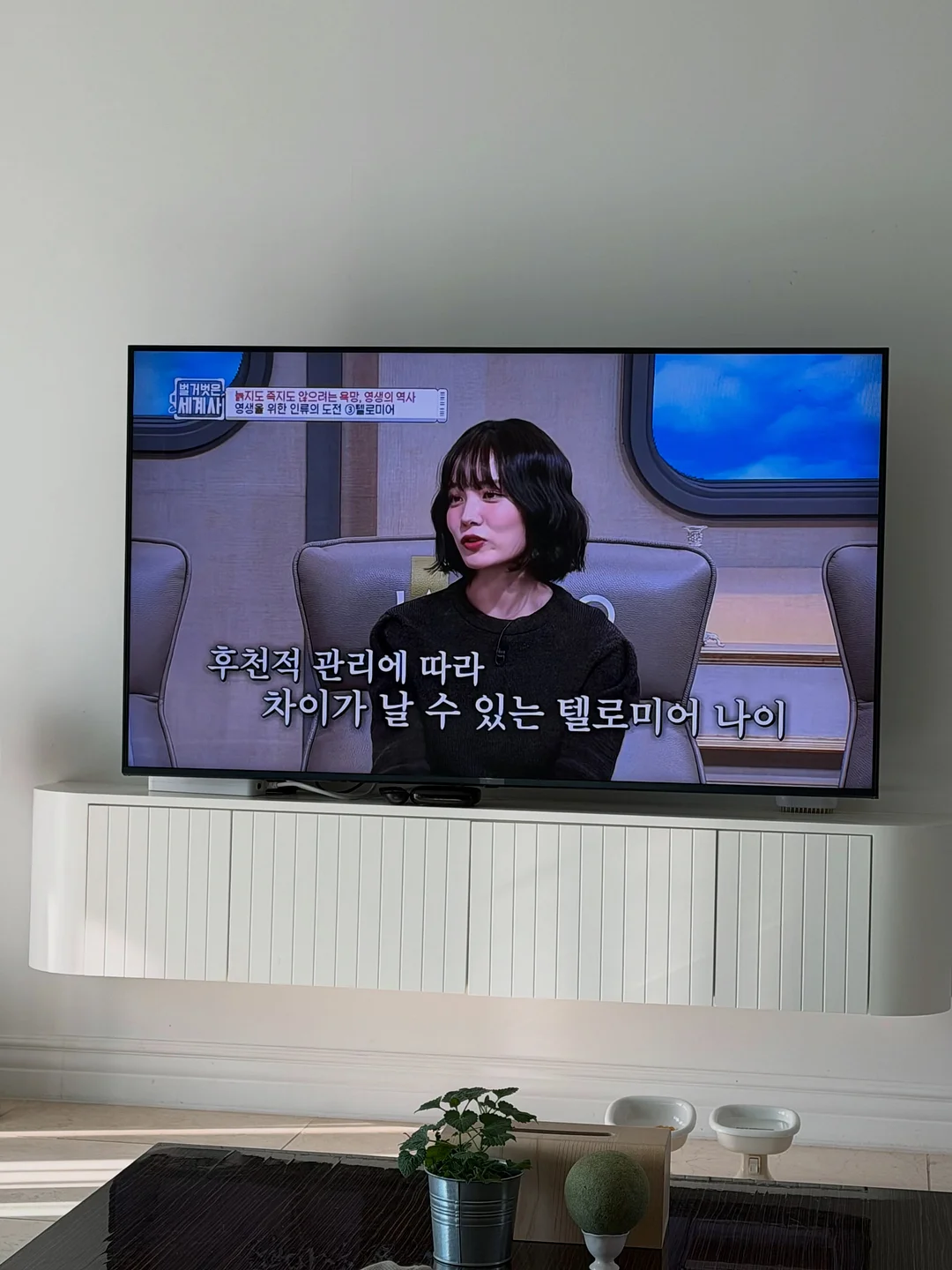 카프리 14