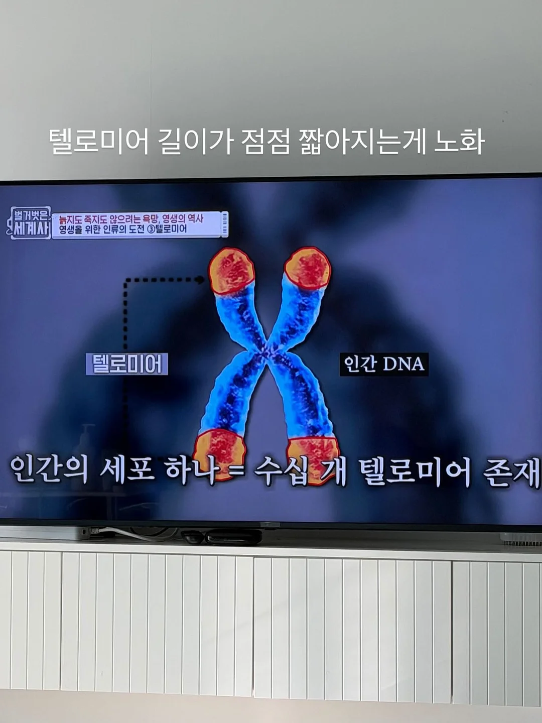 카프리 10