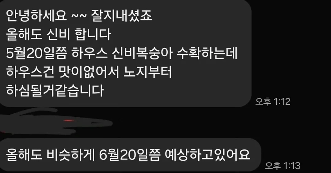 유아 피아노 교육