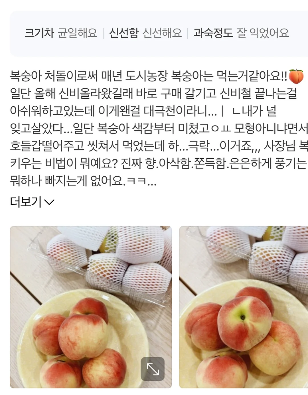 버닝온 4