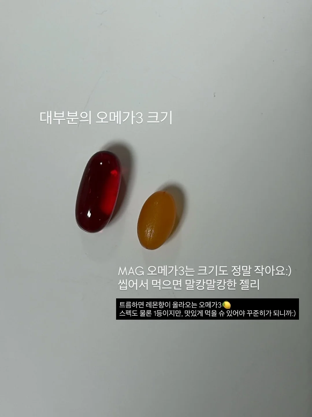 죽도석곡 화분 5