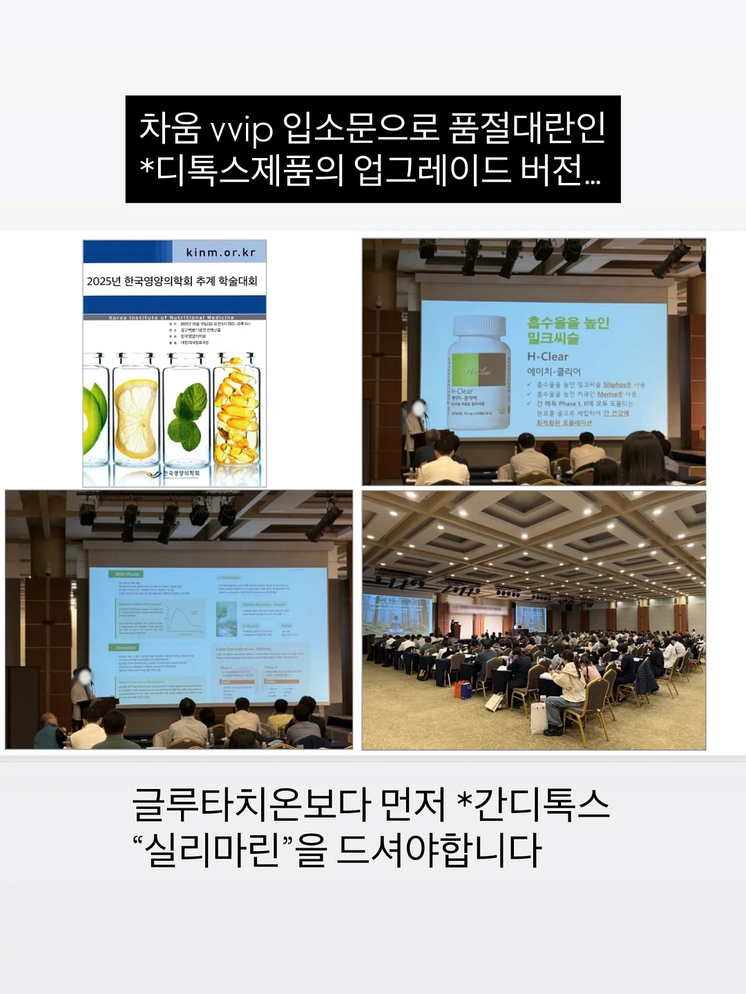 죽도석곡 화분 9