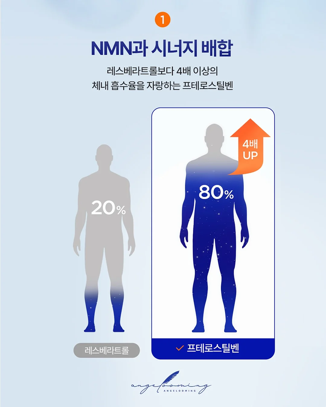황태 오트밀죽 14