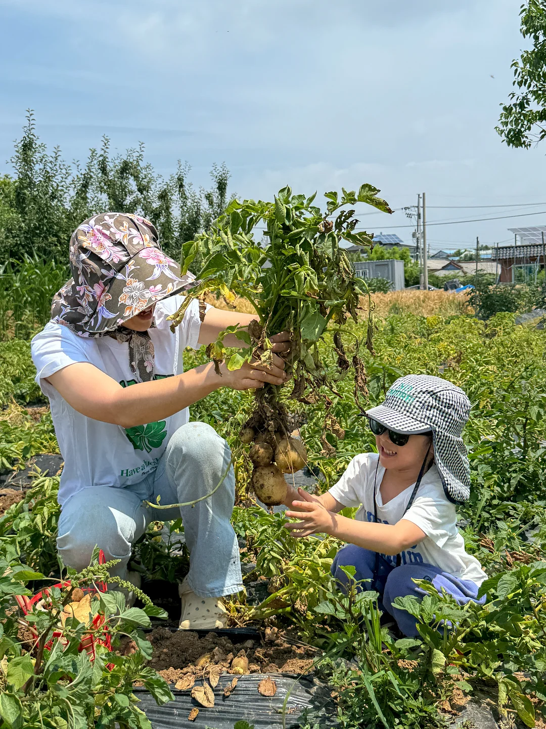 신부님 파운데이션 보정 3