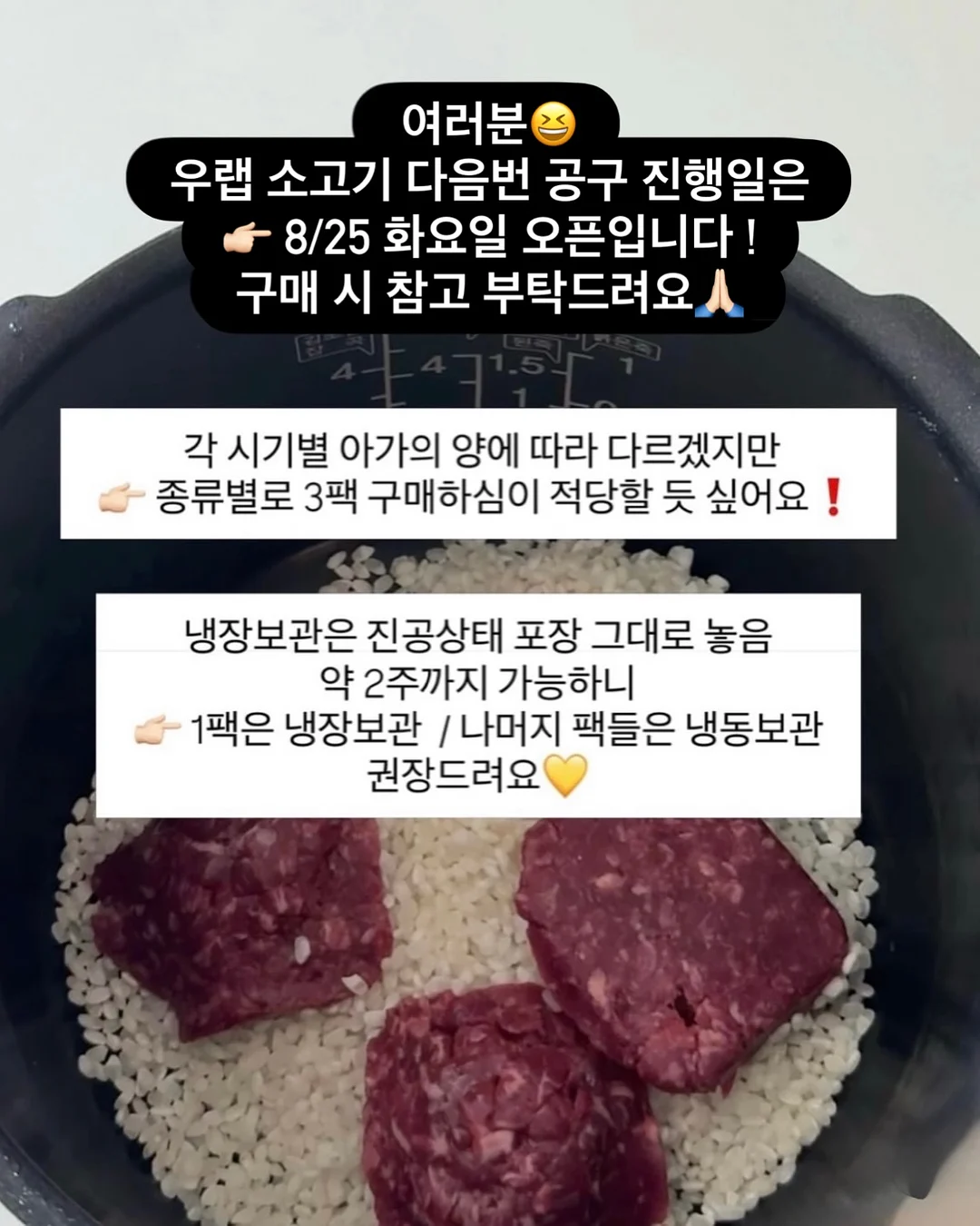헤르츠 원피스 13