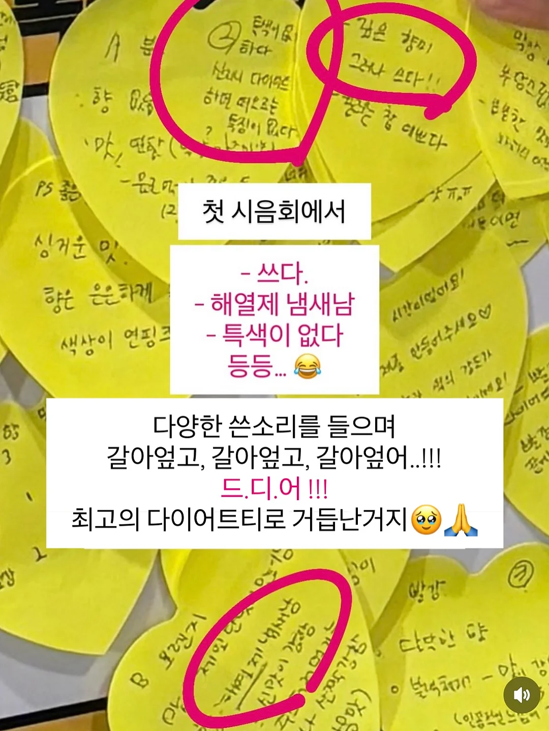 일본 포도 12