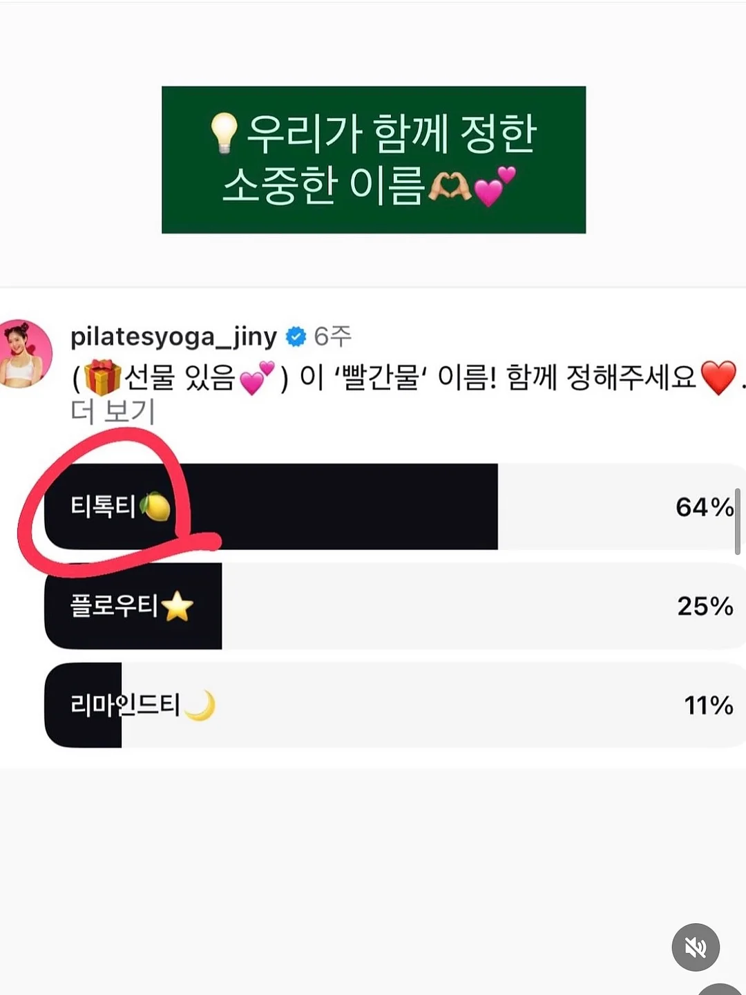일본 포도 14