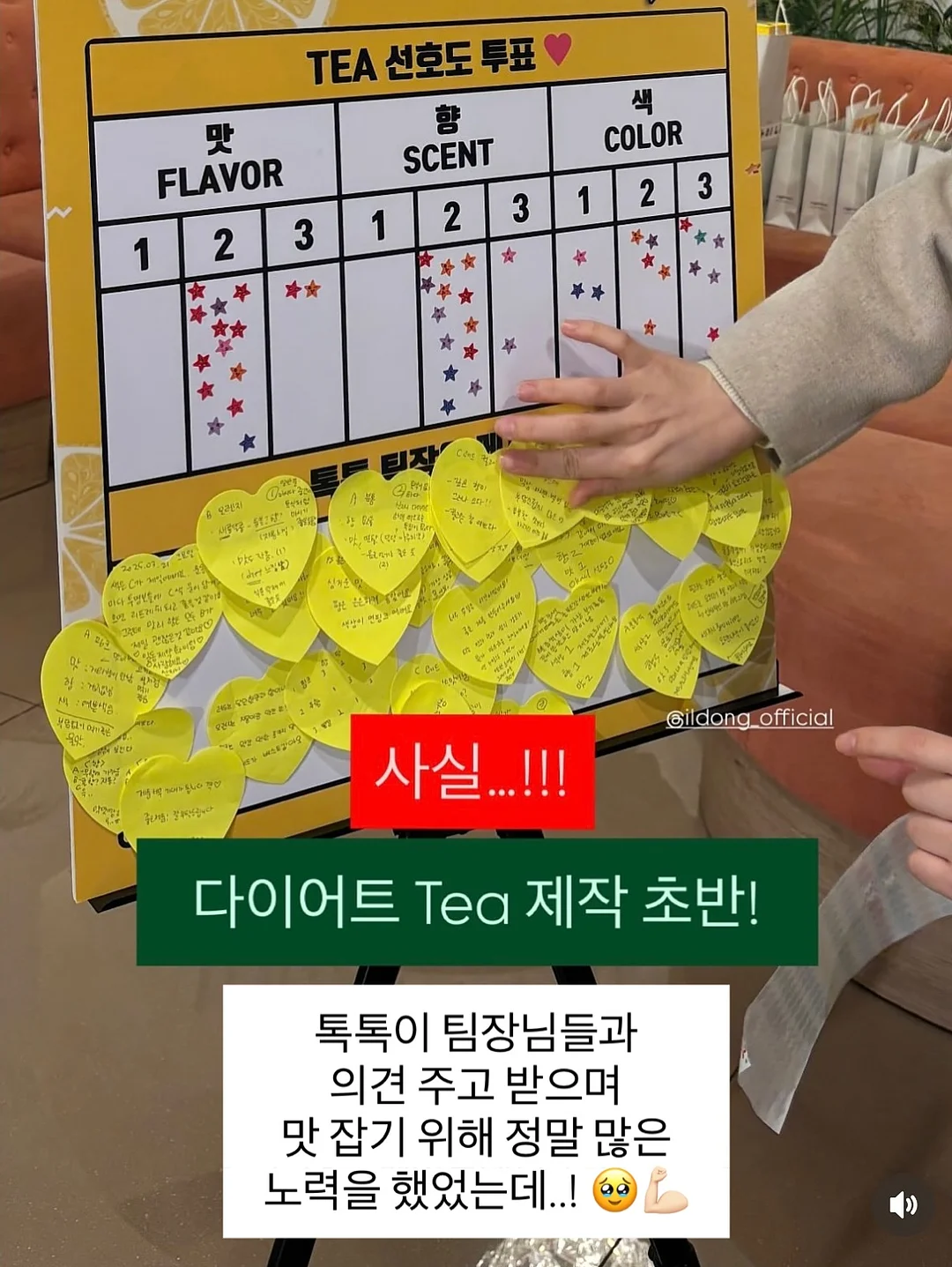 일본 포도 8