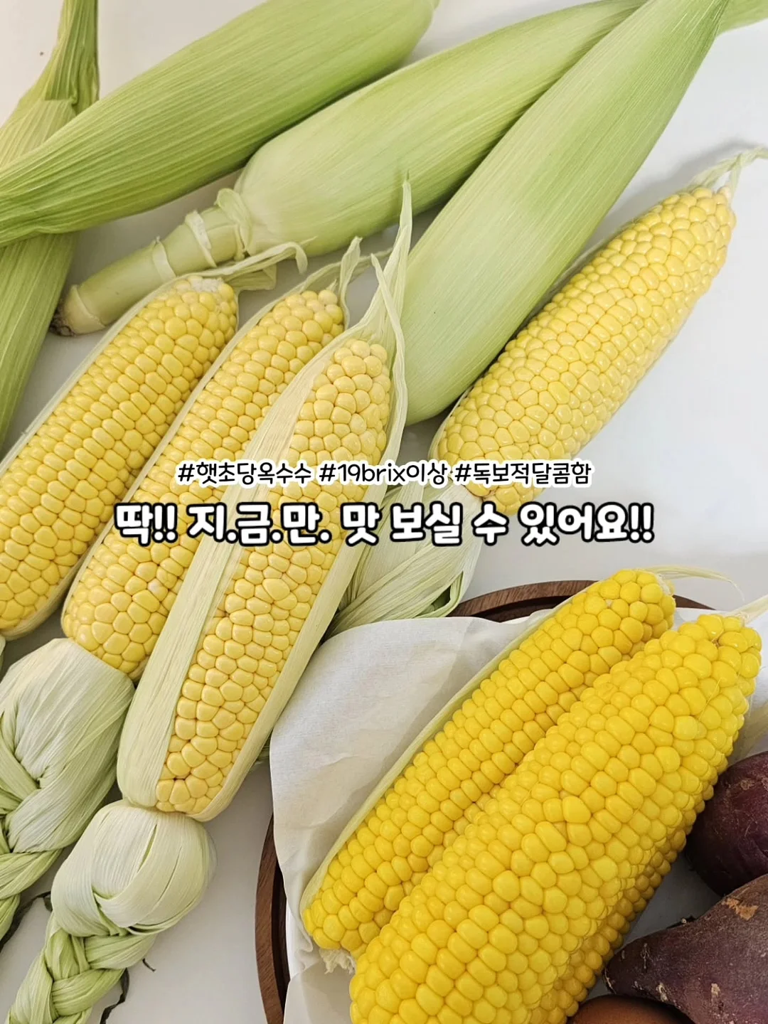커버핏셋업 8