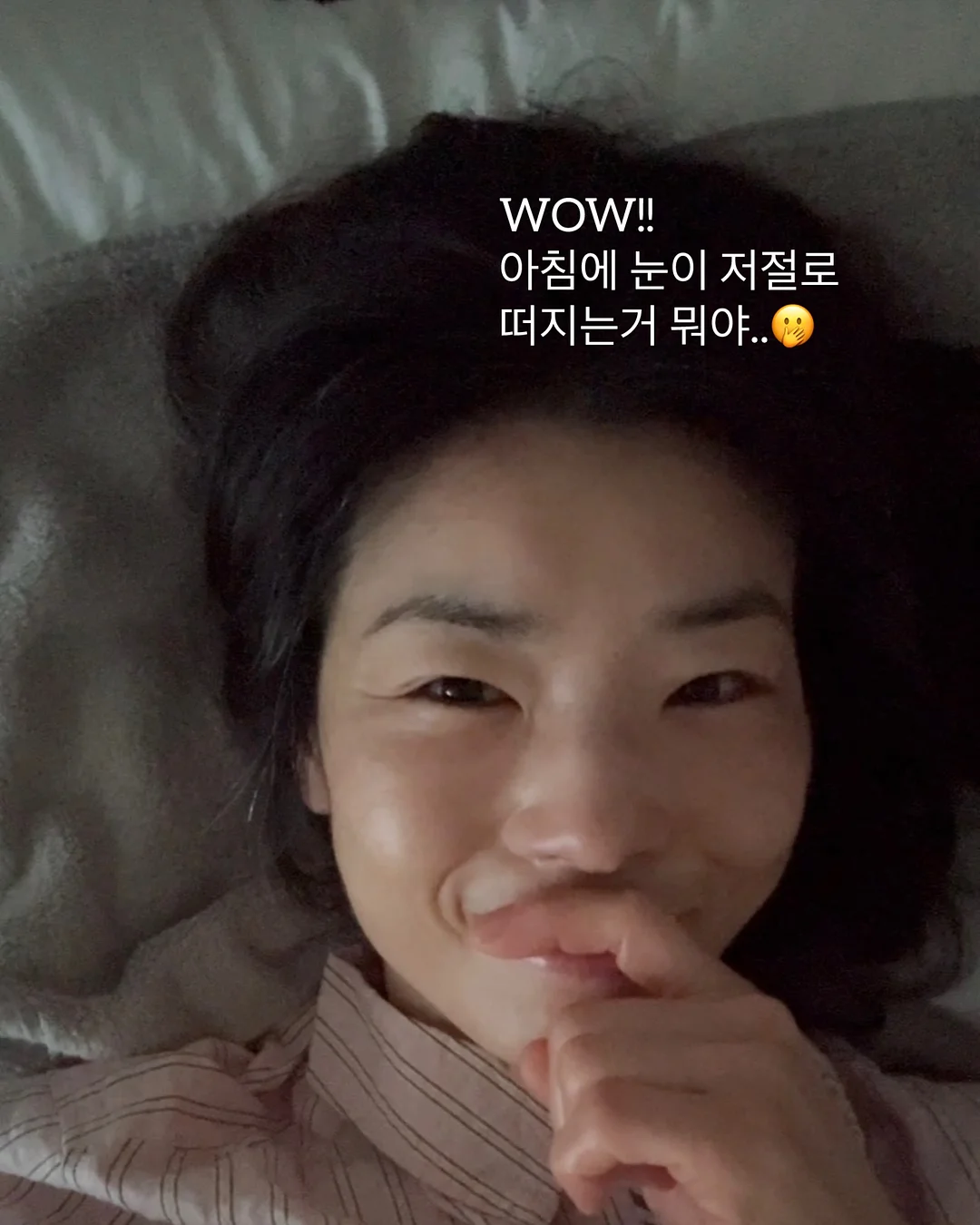 칼라디움 13