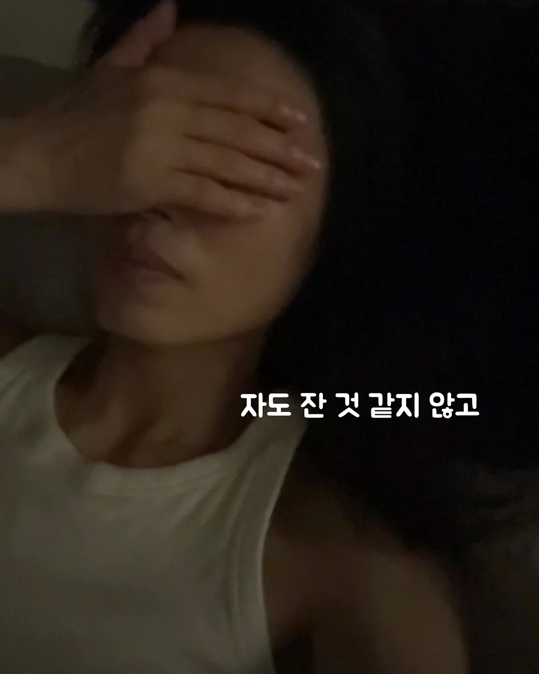 칼라디움 6