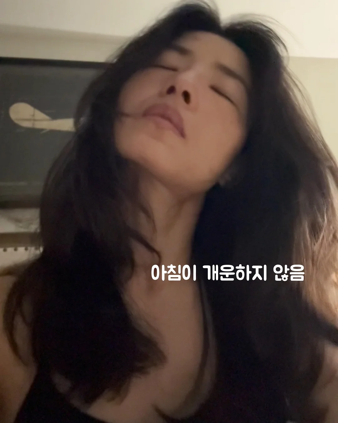 칼라디움 10