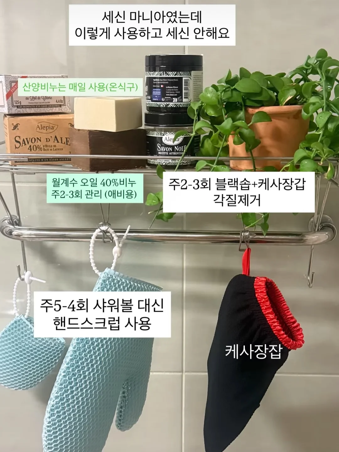 보톡 3