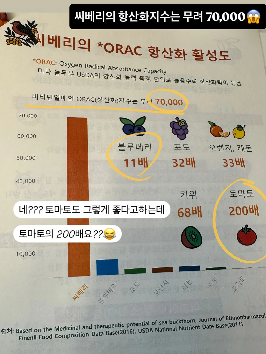 스킨핏 디바이스 13