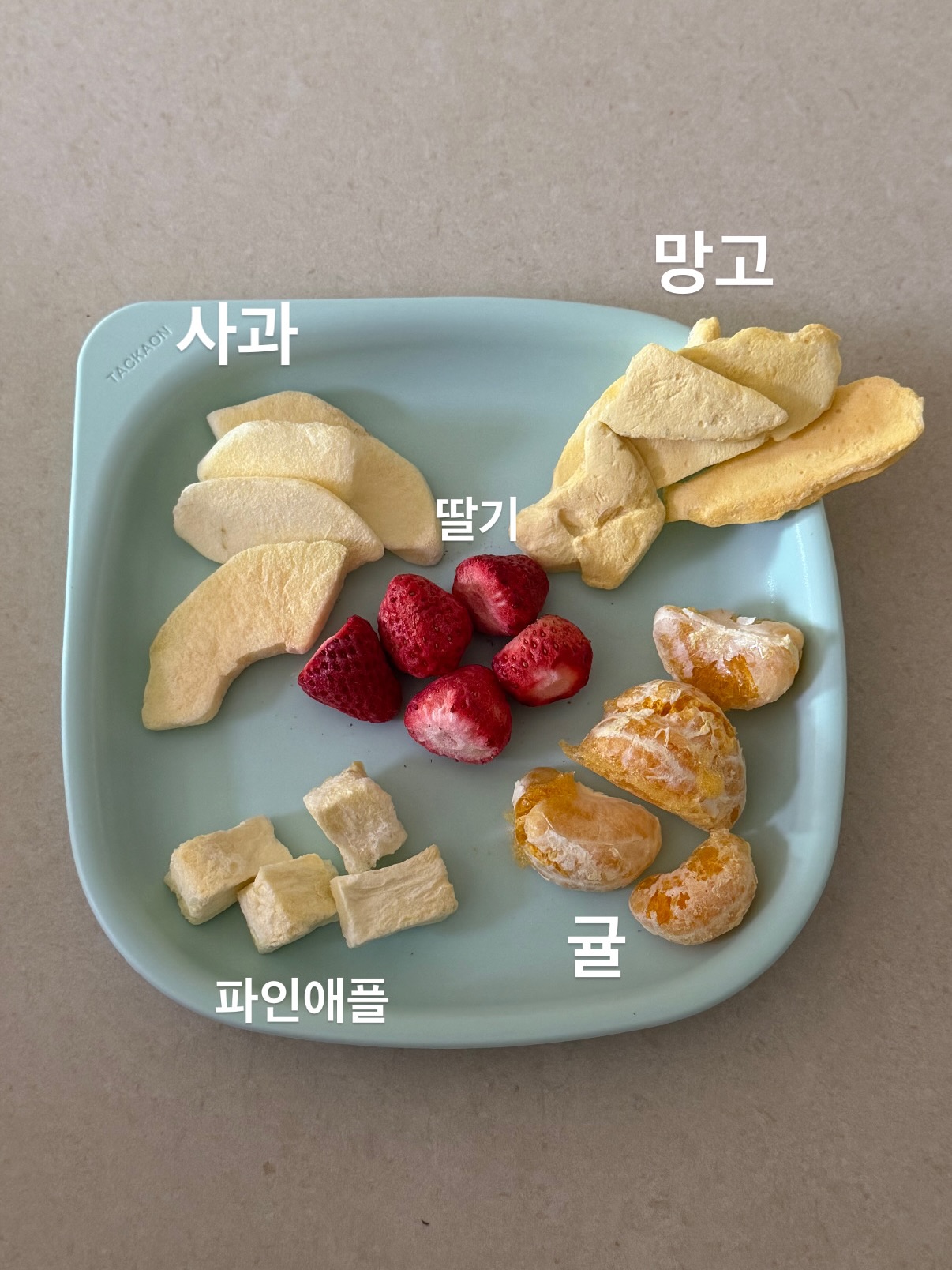 대형 드로잉 플레이트 5