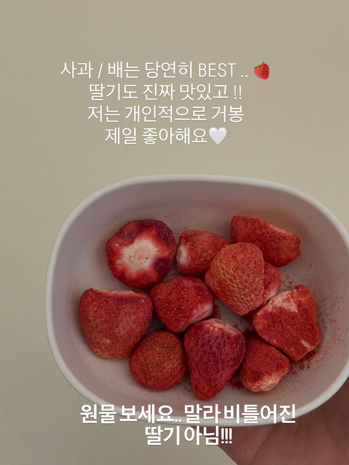 대형 드로잉 플레이트 6