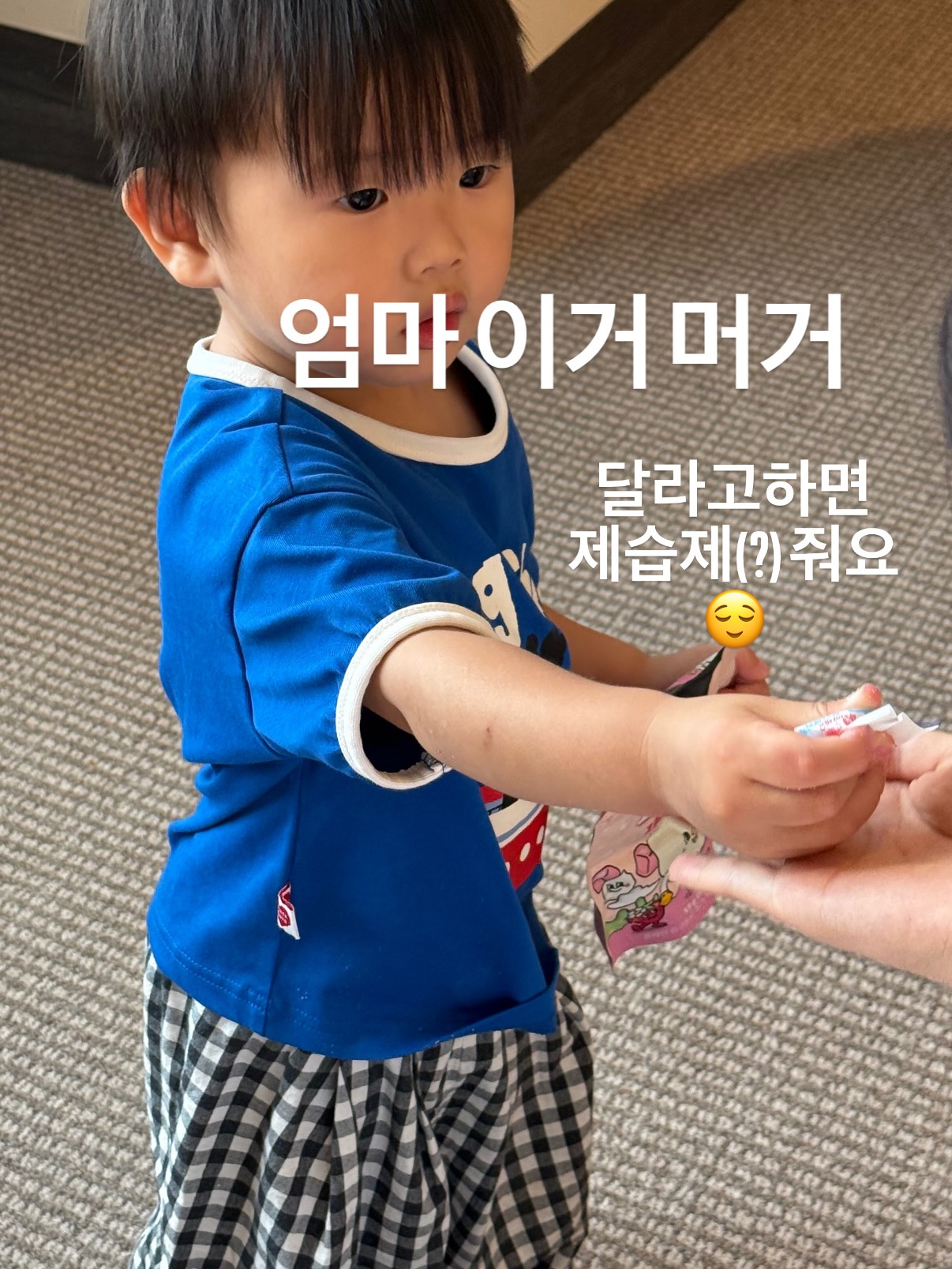 대형 드로잉 플레이트 8