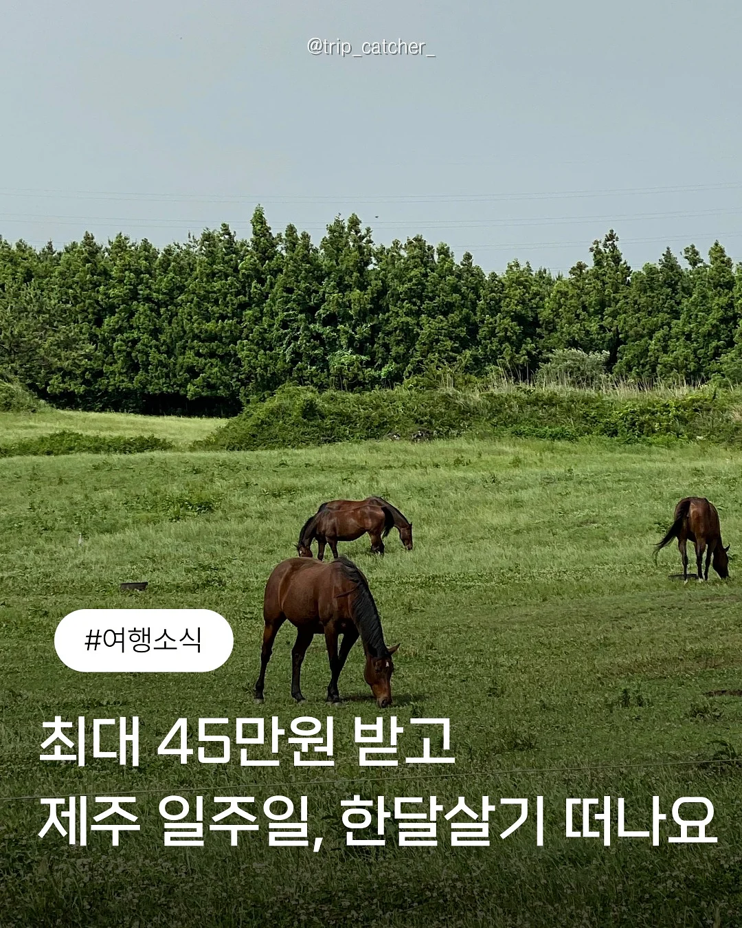 리압토즈 지압슬리퍼