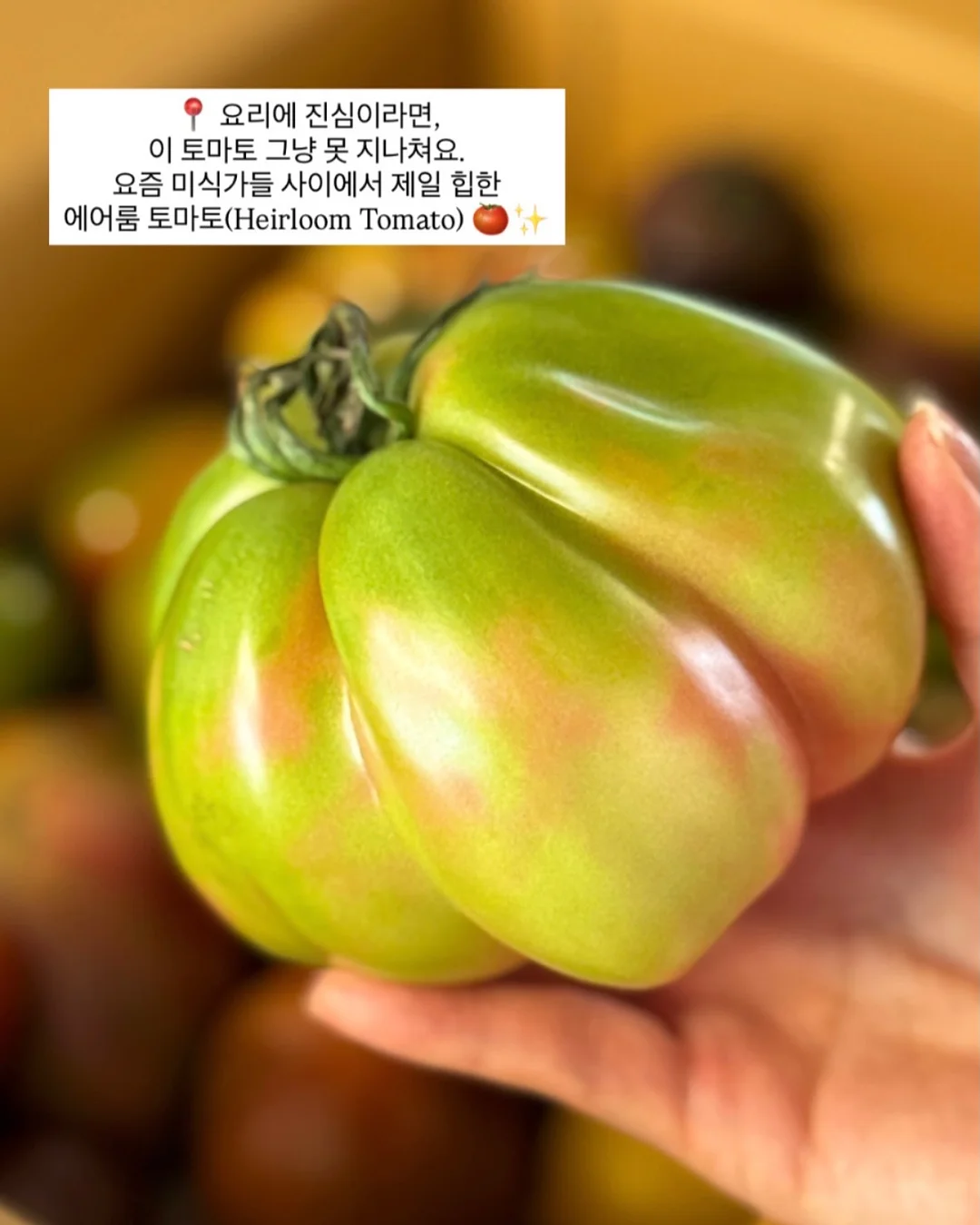 브라탑 1