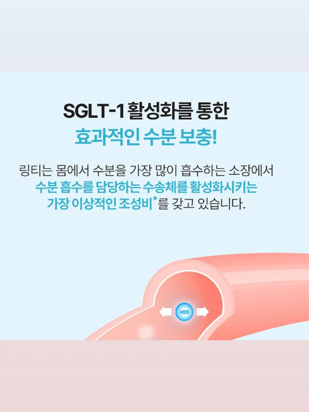 자크뮈스 아티초크 버킷햇 6