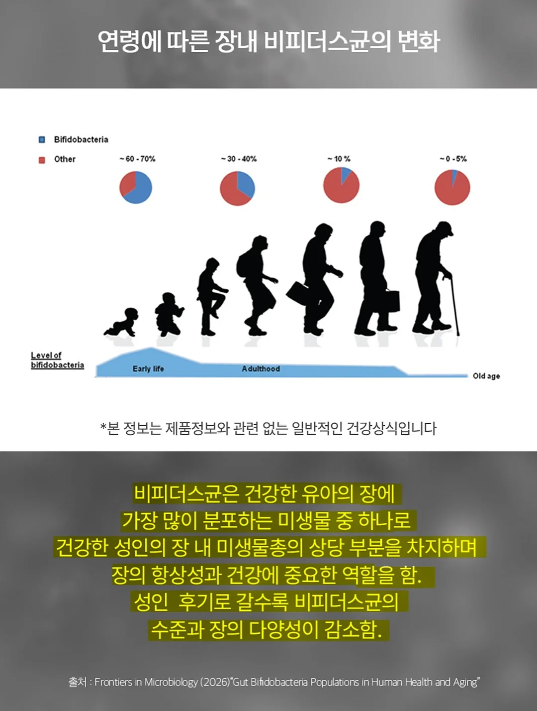 니트 14