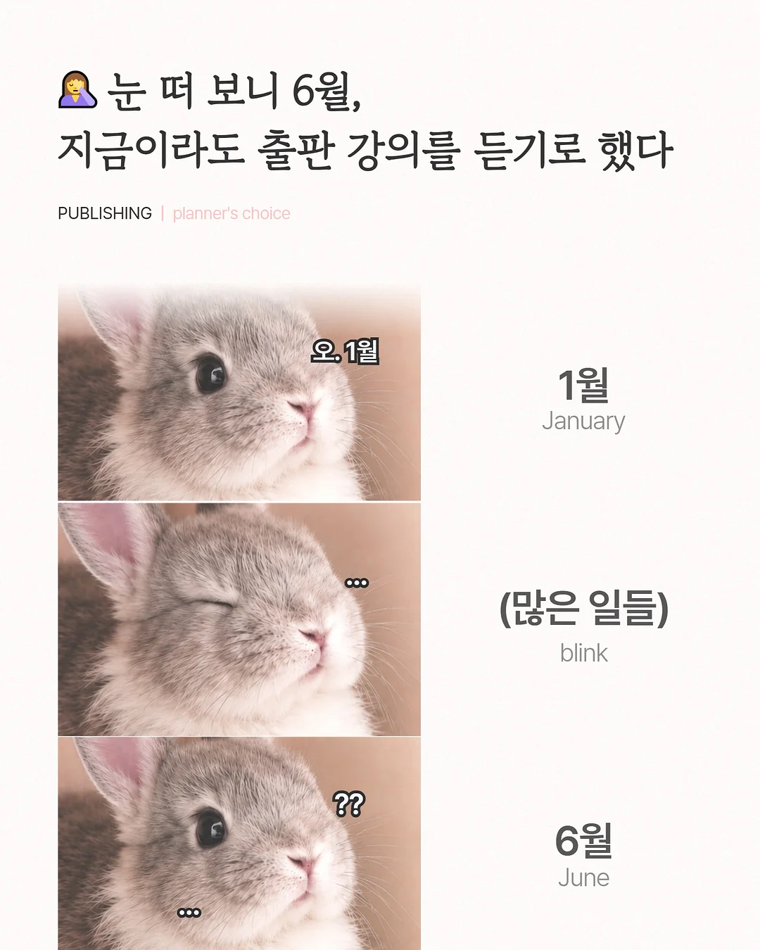 코치백, 일본 간식, 러닝화 1