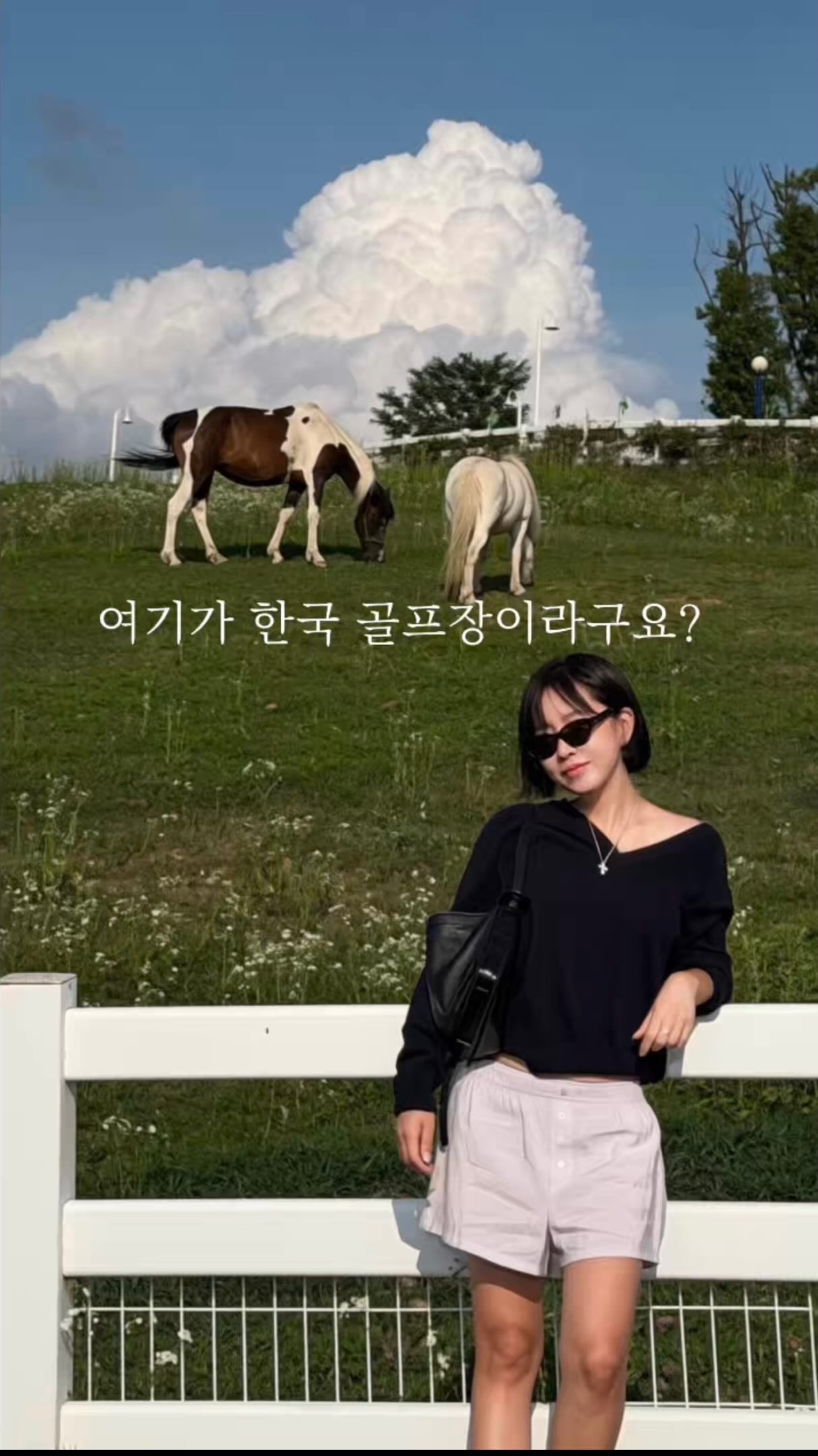 이유식 제조기