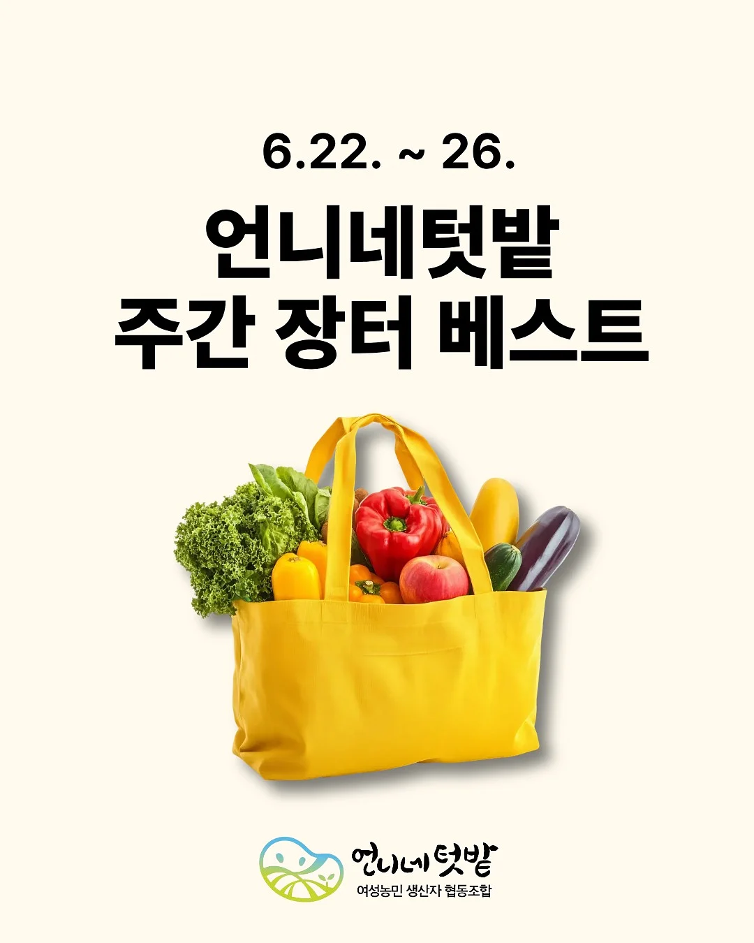 고탄력 양말 니삭스 1