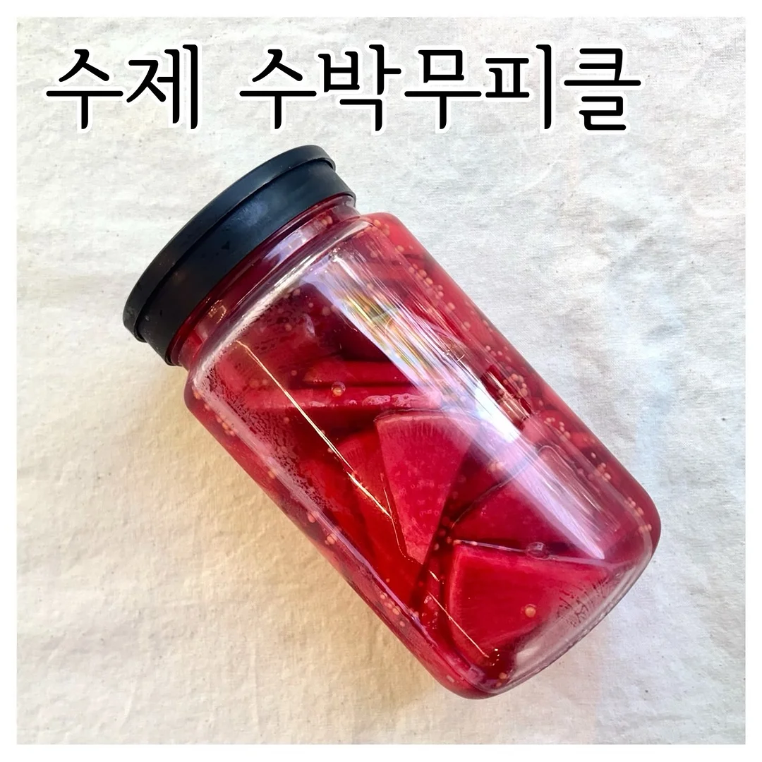 날파리 트랩 4
