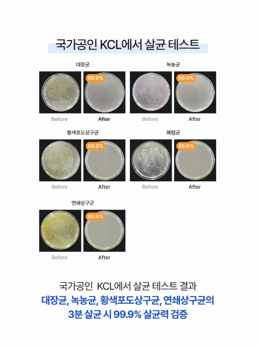 셋업 15