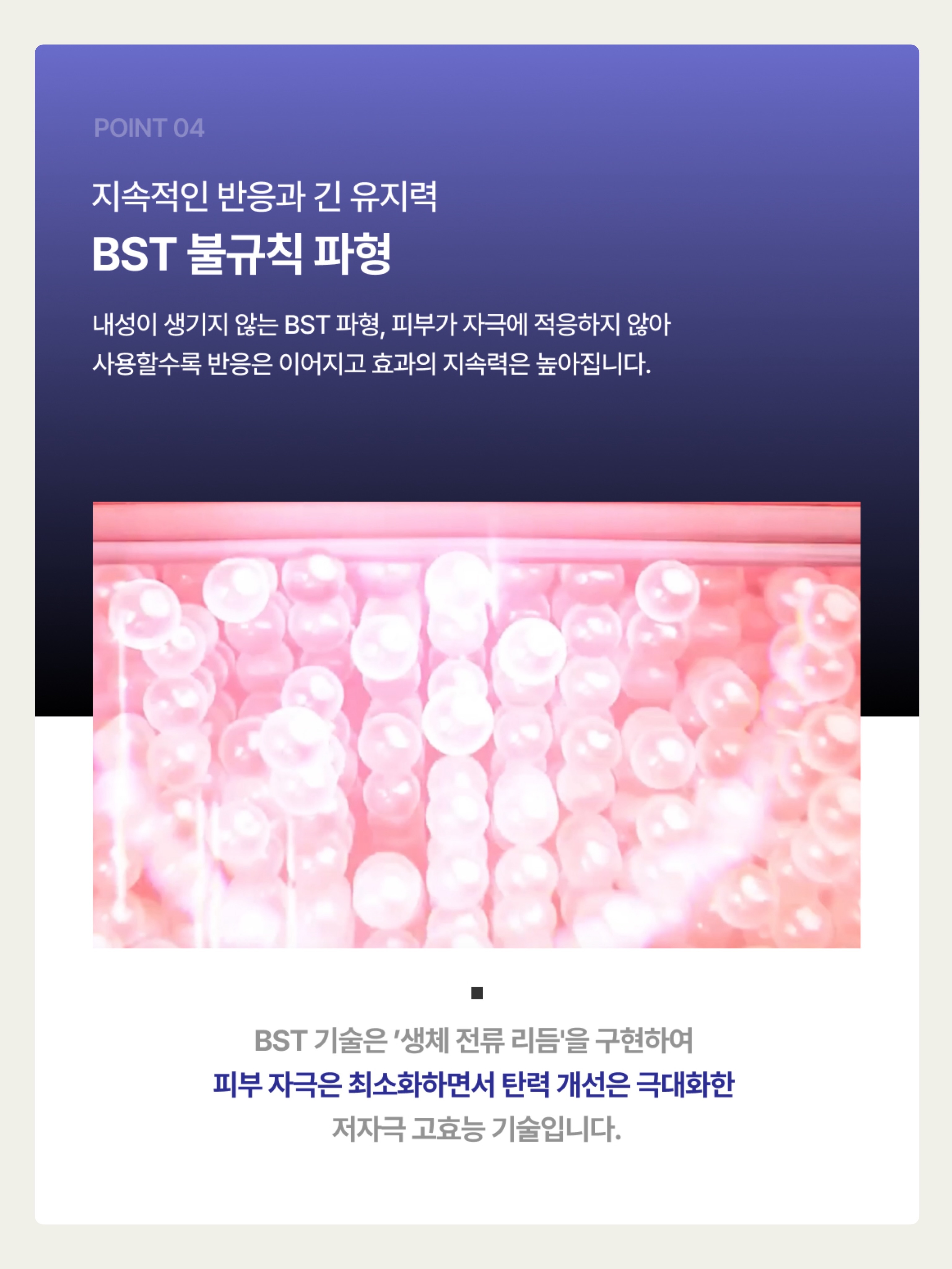 애기장족 8