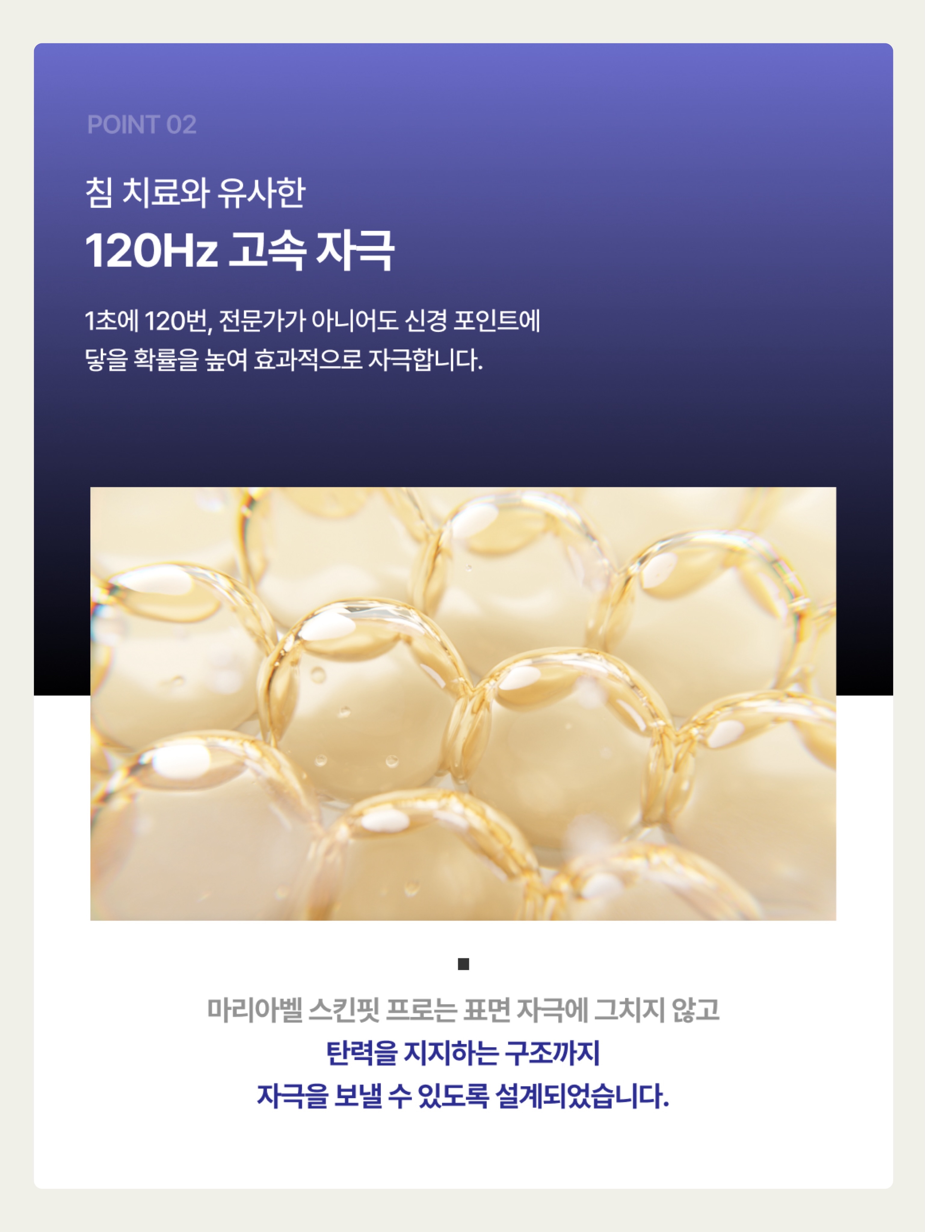 애기장족 10