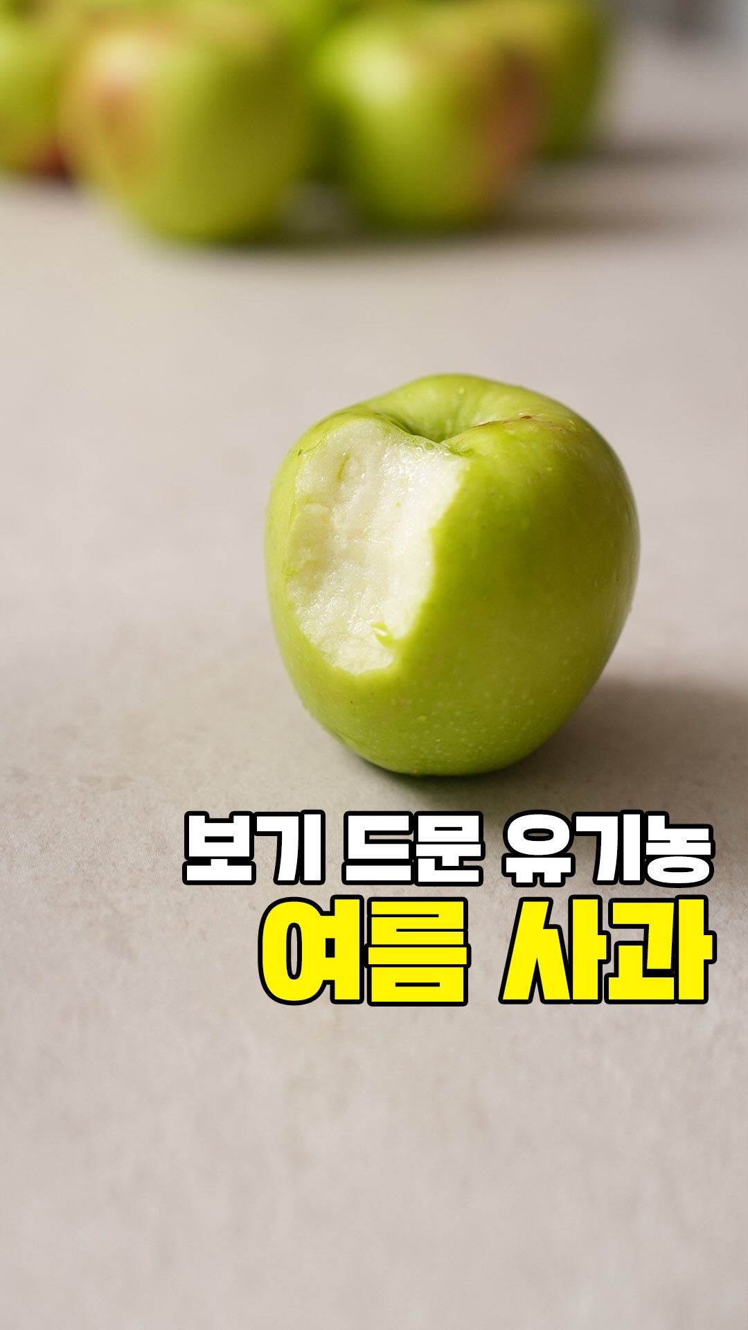 춘식이 히퍼