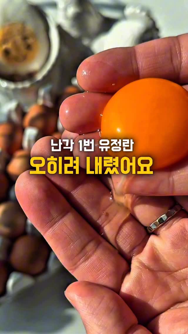 드라세나 마지나타