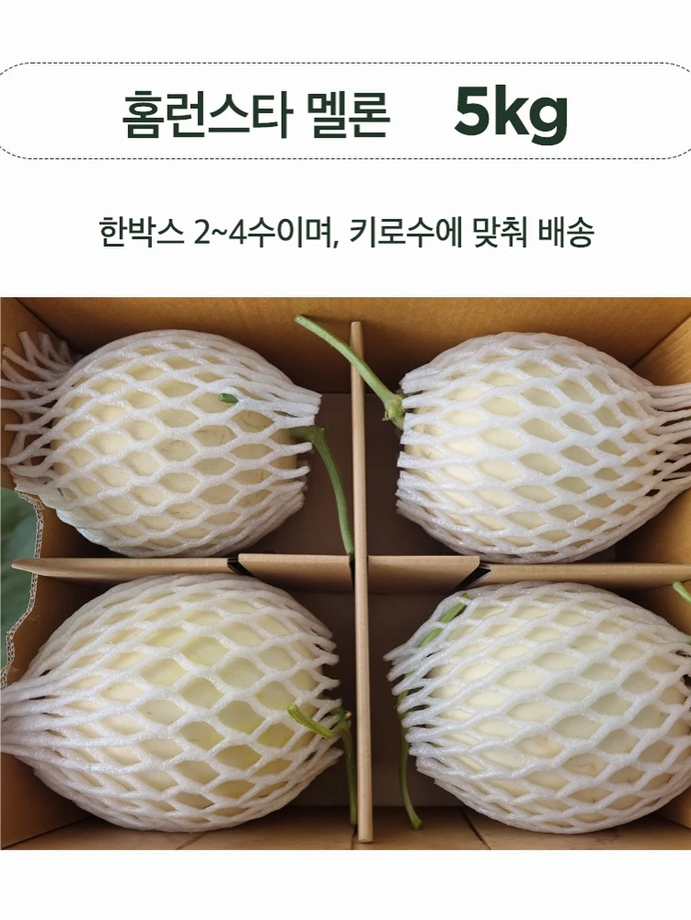 빨래바구니 2