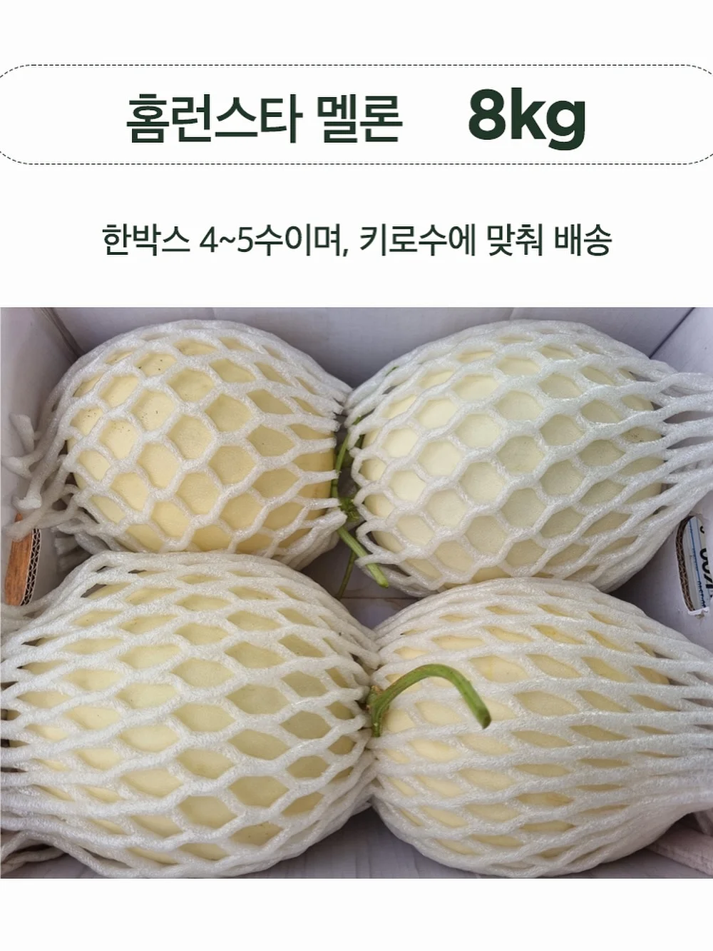 빨래바구니 4