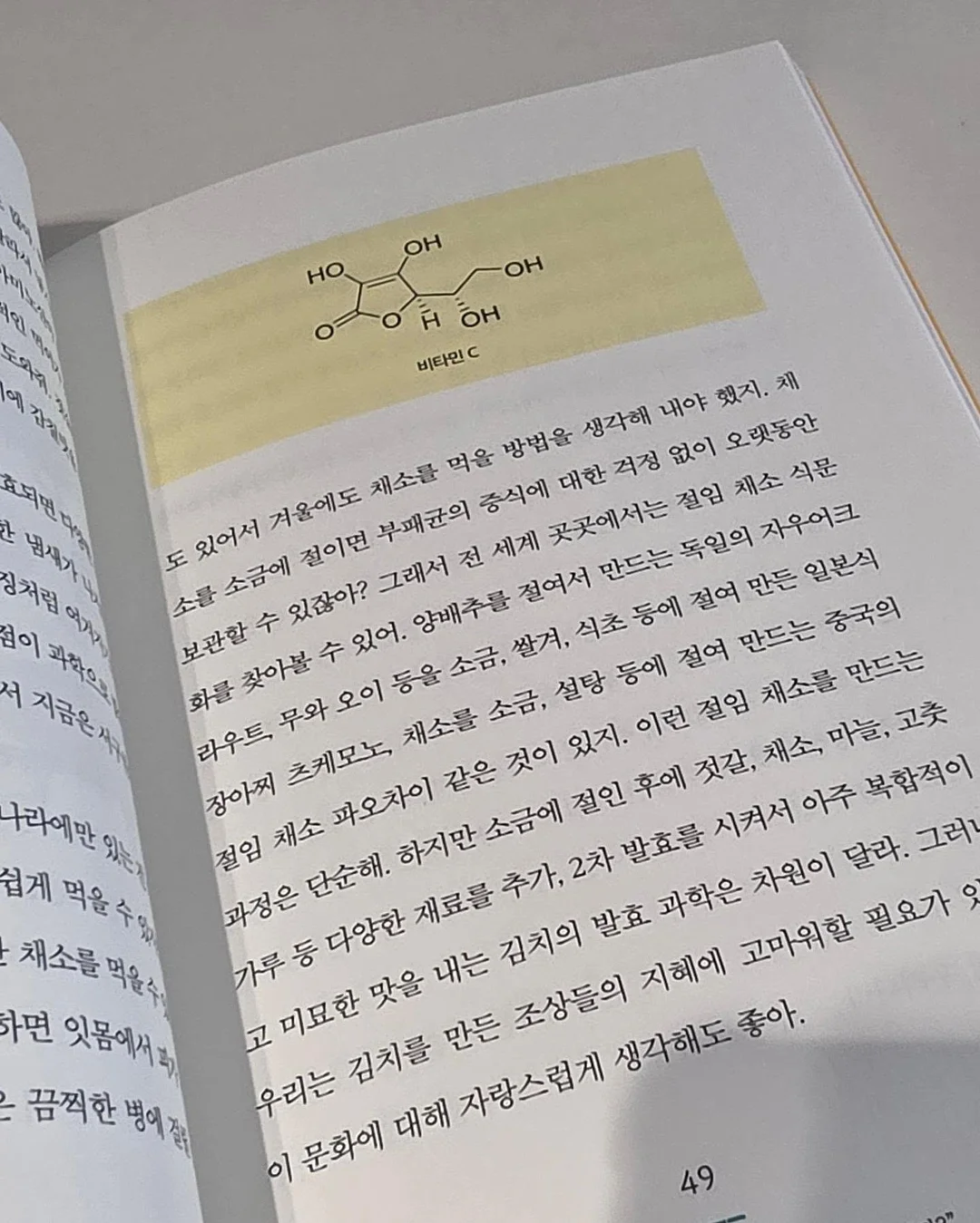 와이업 휴대용 유모차 12