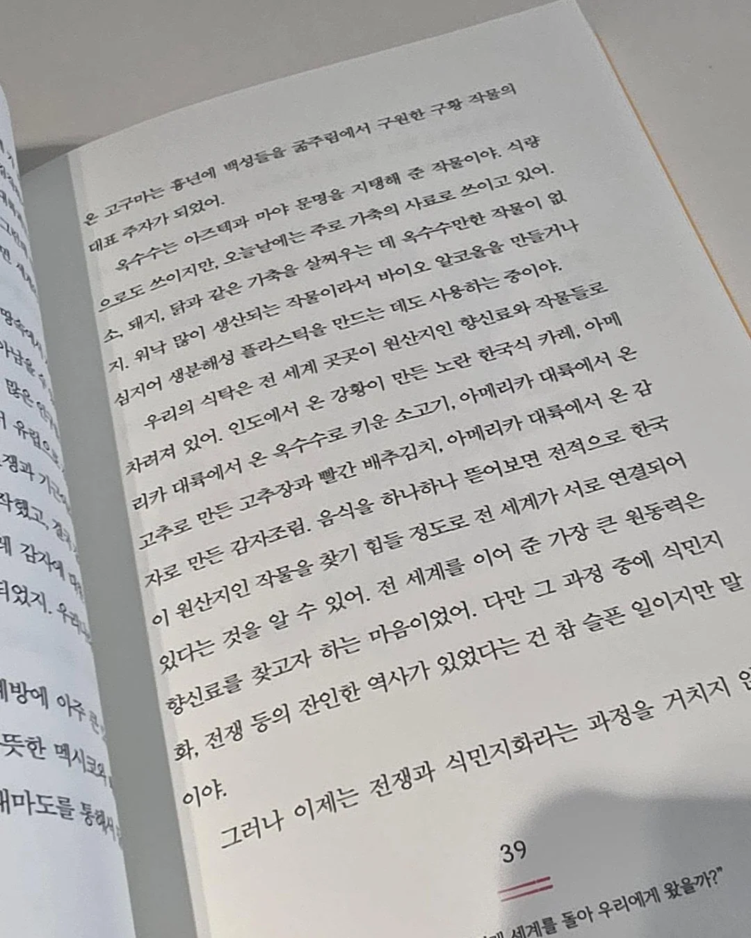 와이업 휴대용 유모차 14