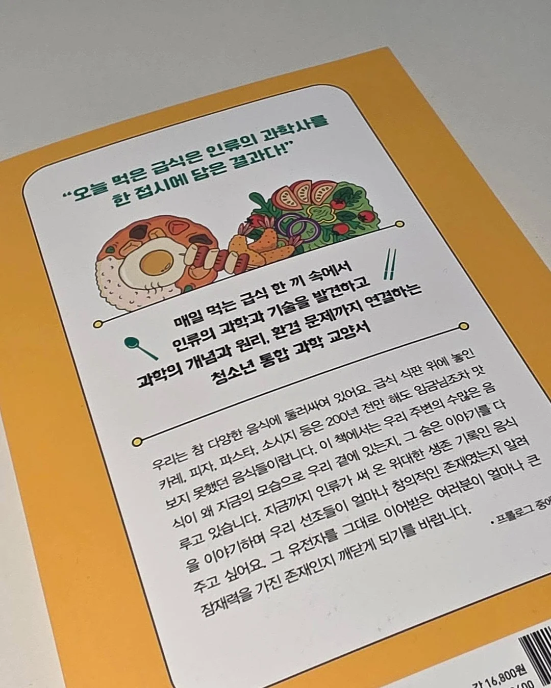 와이업 휴대용 유모차 17