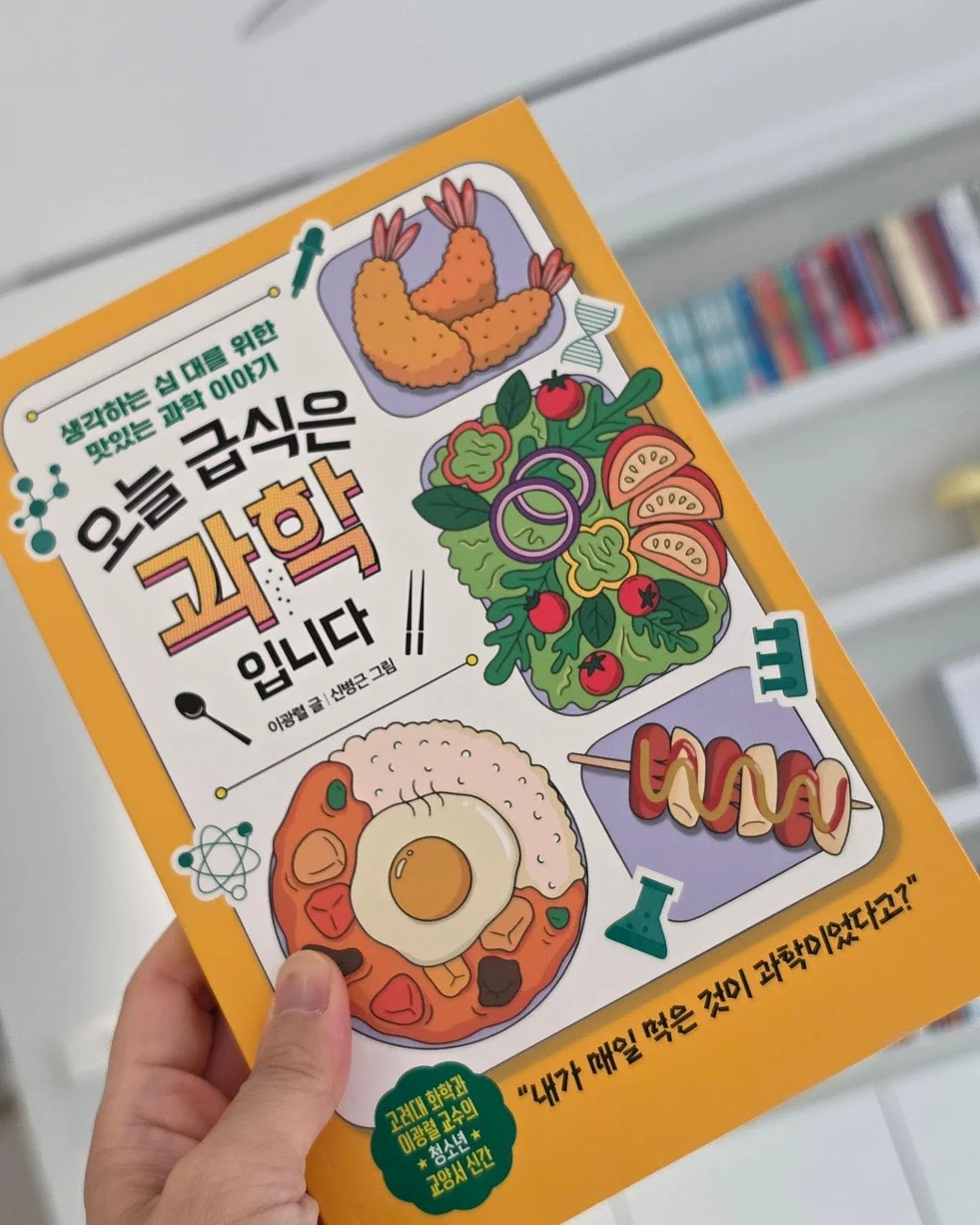 와이업 휴대용 유모차 5