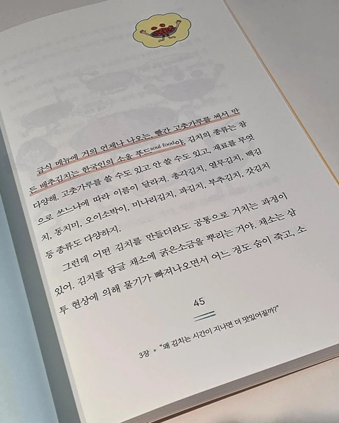 와이업 휴대용 유모차 8
