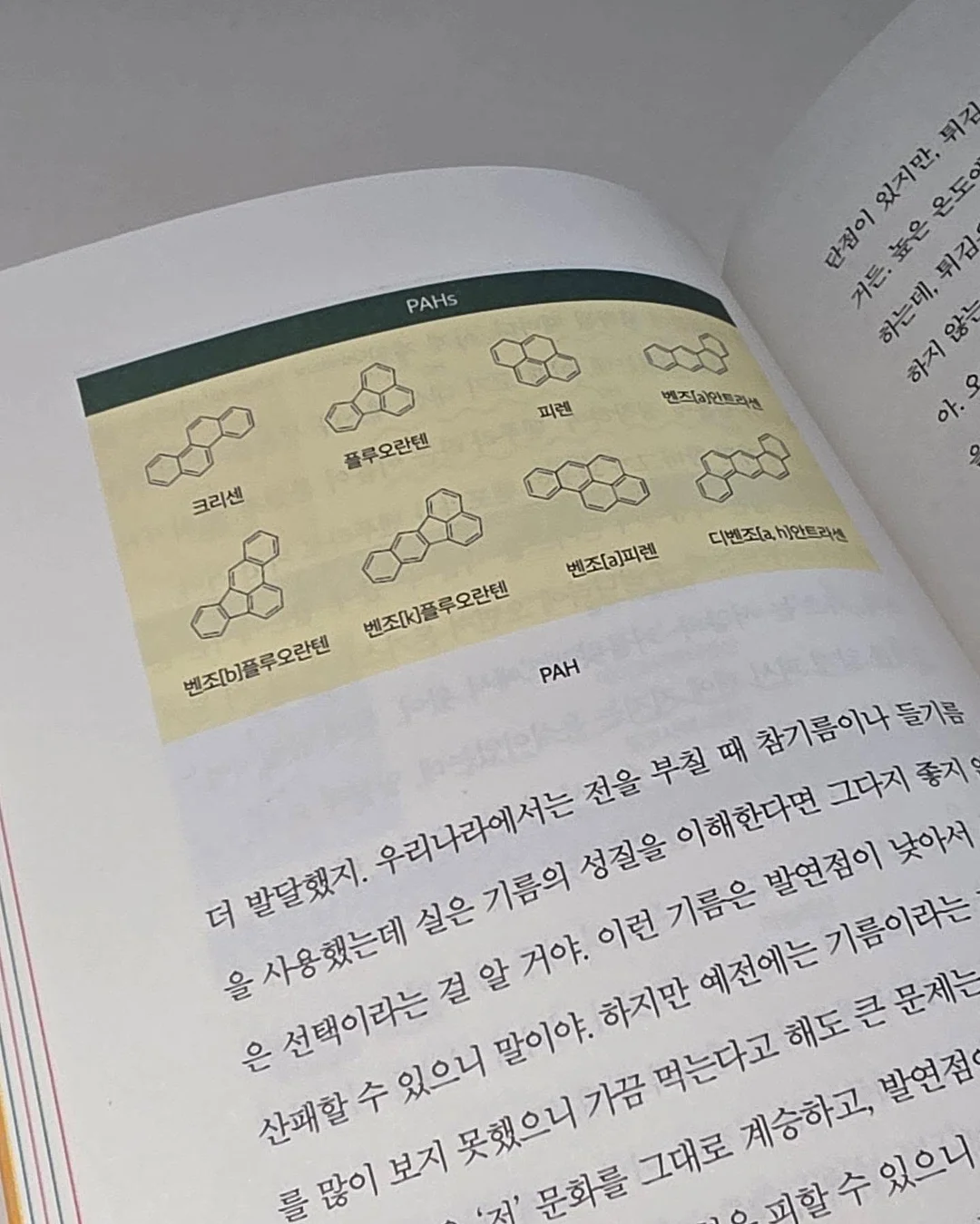 와이업 휴대용 유모차 10