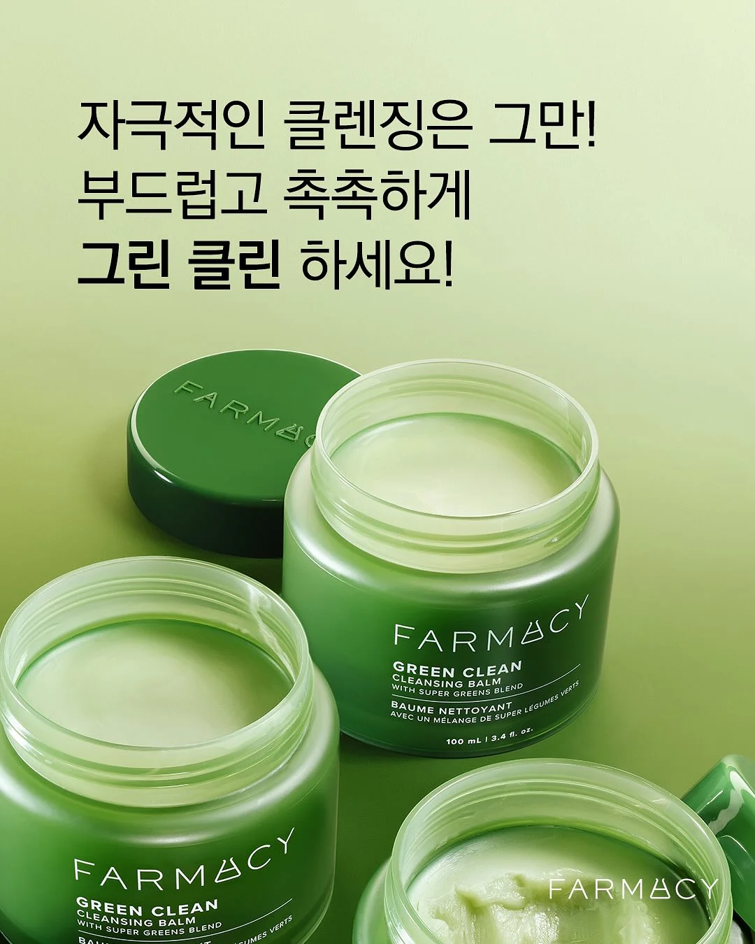목포쫀드기 13