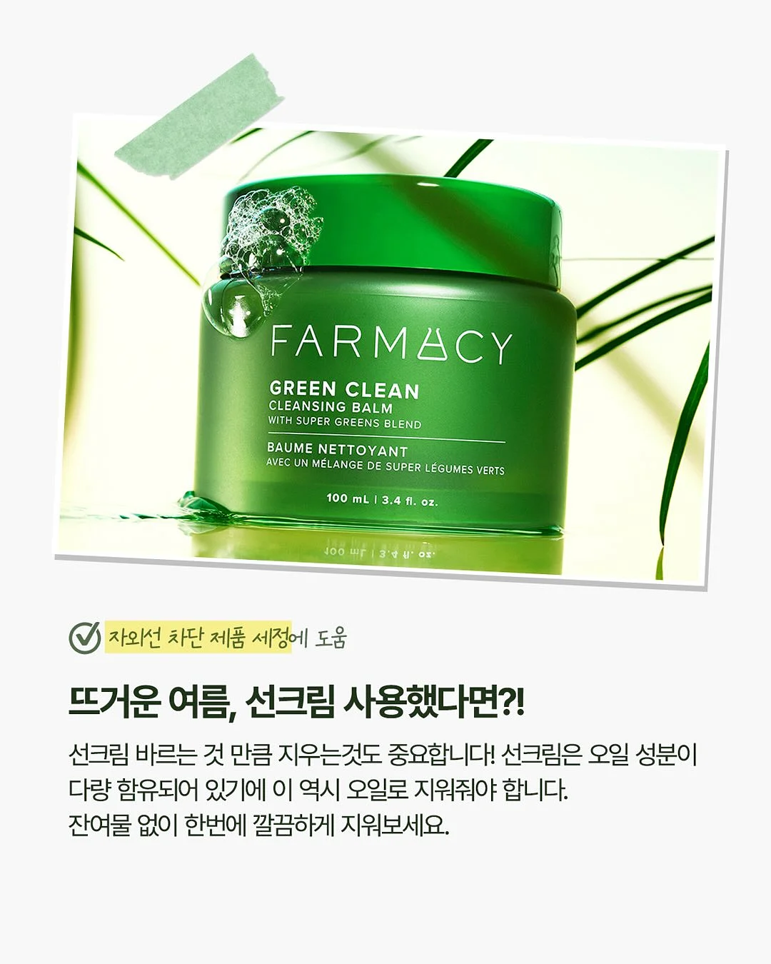 목포쫀드기 2