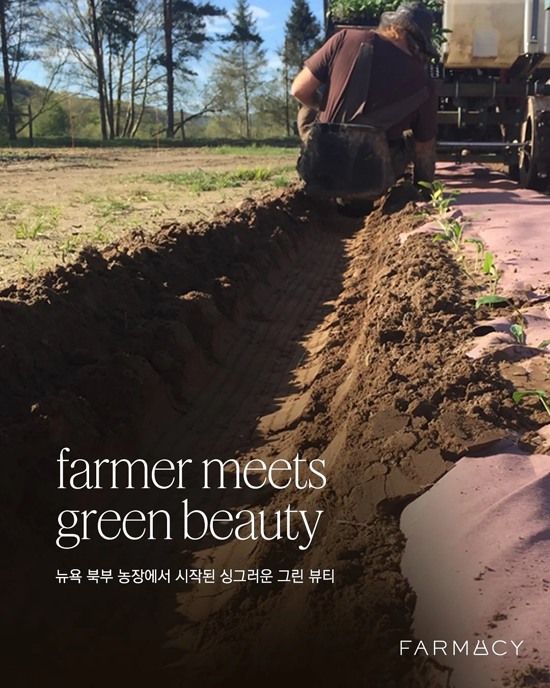 목포쫀드기 6