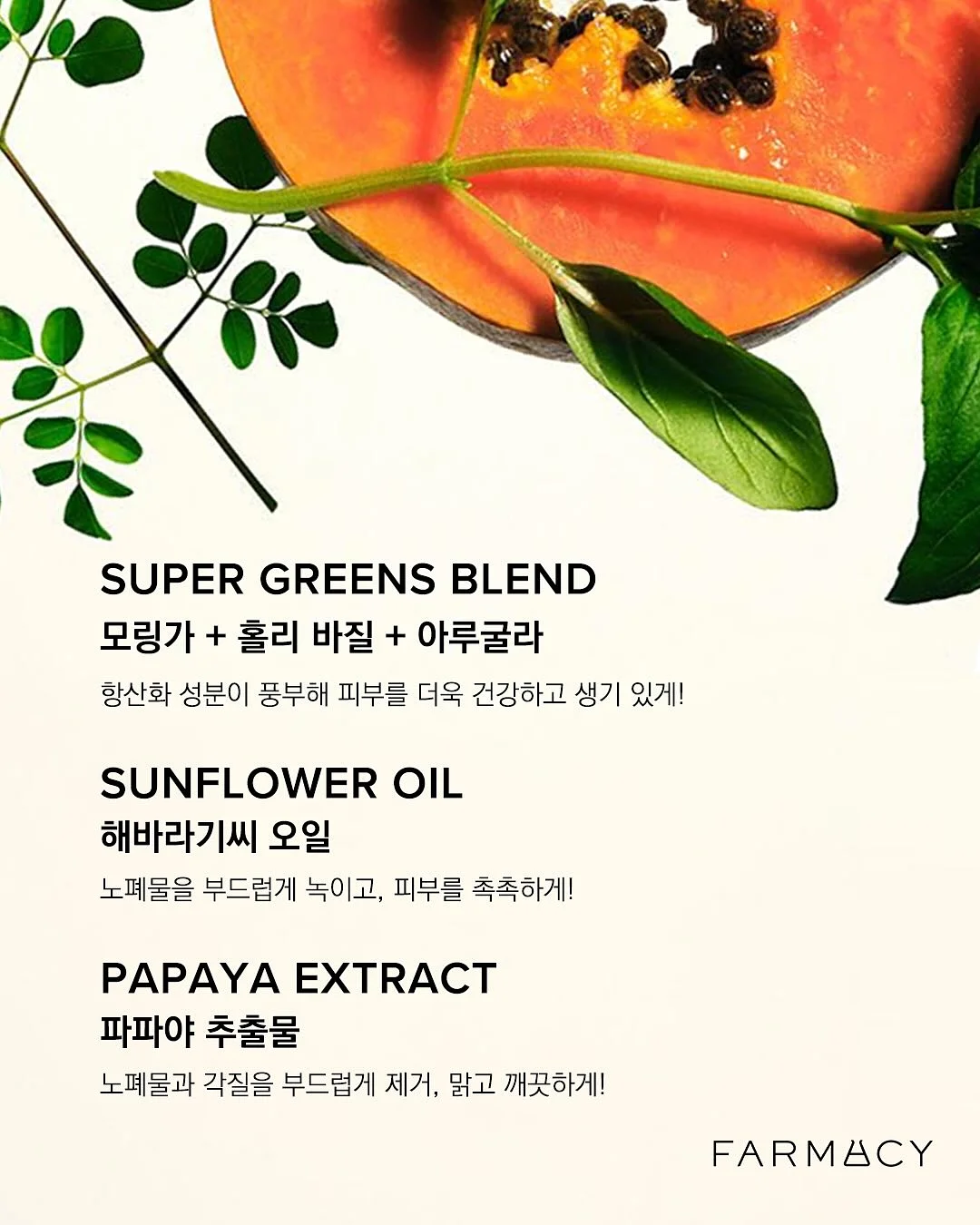 목포쫀드기 8